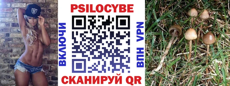 купить закладку  OMG tor  Псилоцибиновые грибы Cubensis  Малаховка 